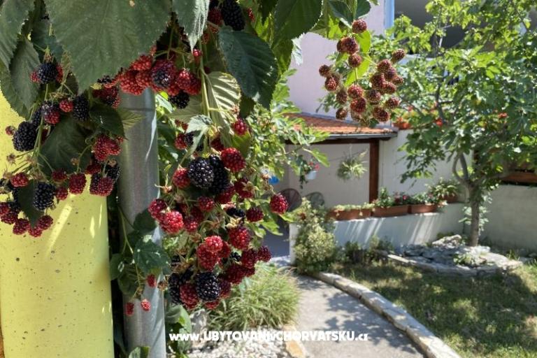 Beach Dům Punta – foto 7