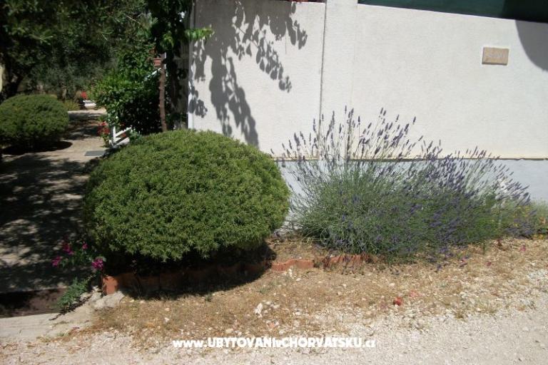 Apartmány Sinjal – foto 7