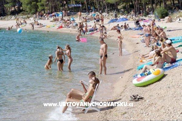 Vila Ruži – foto 10