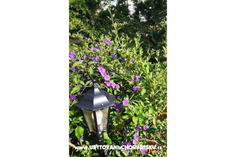 Villa Hana  – foto 11