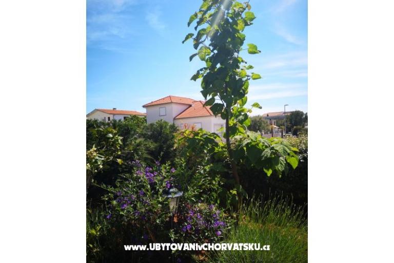 Villa Hana  – foto 17