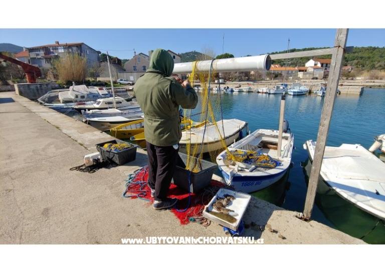 Apartmán Niko – foto 7