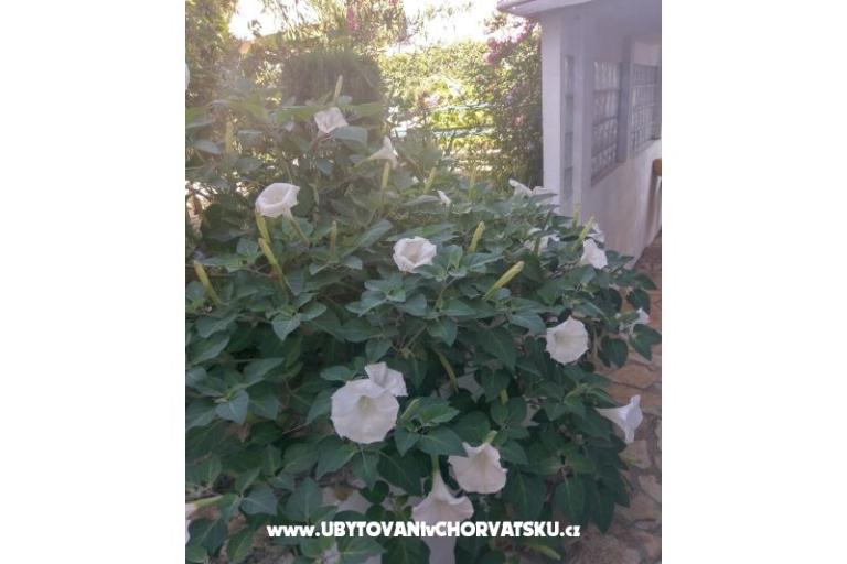 Apartmány Marija-Tkon – foto 6