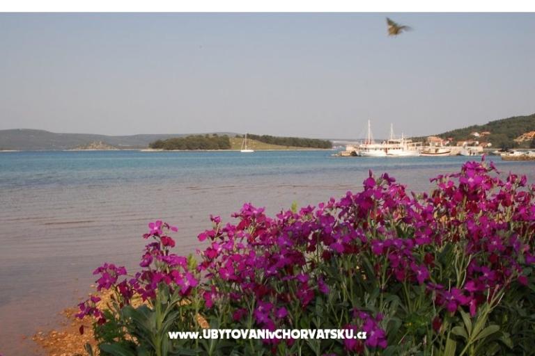 Apartmány Marinero – foto 9