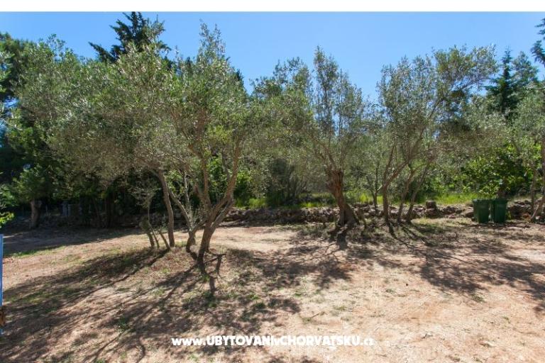 Apartmány Maris – foto 12