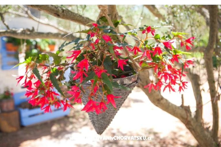 Apartmány Maris – foto 13