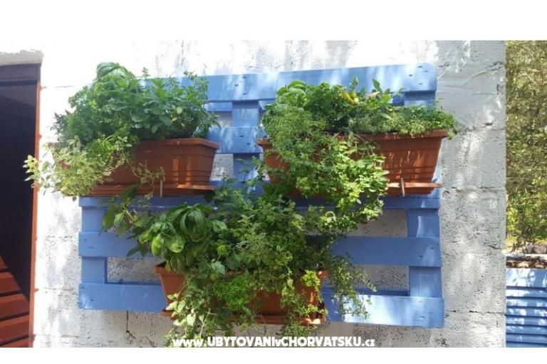 Apartmány Maris – foto 16