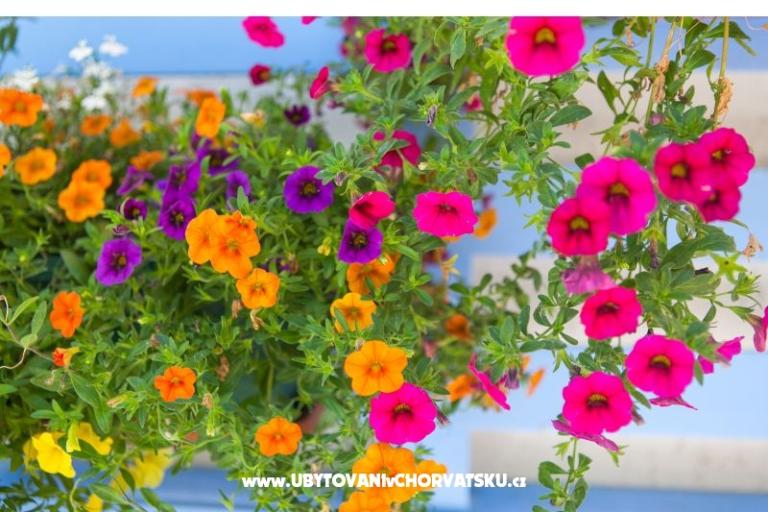 Apartmány Maris – foto 2