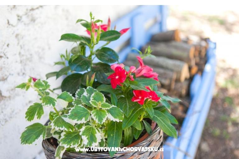 Apartmány Maris – foto 7