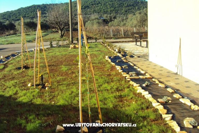 Apartmány Pašman – foto 16