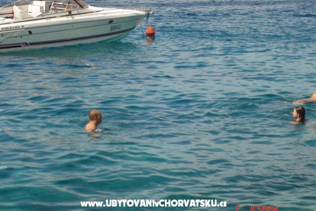 Apartmány Ždrelac – foto 8