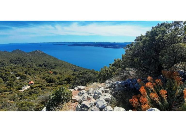 Apartmány More – foto 18