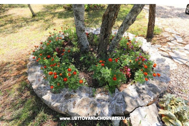 Apartmány Suzana – foto 18