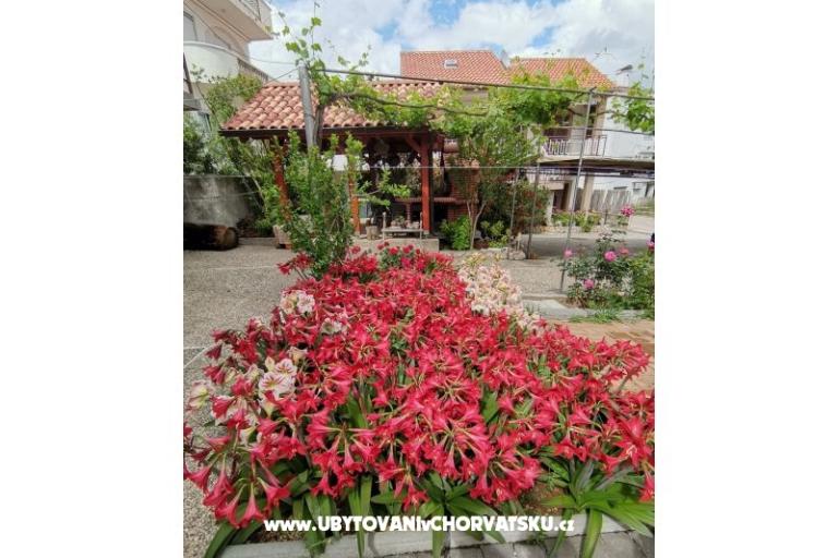 Apartmány Ivan  – foto 14