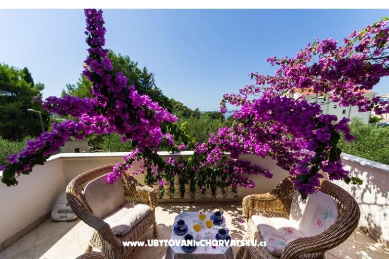 Apartmány Ivanka – foto 11