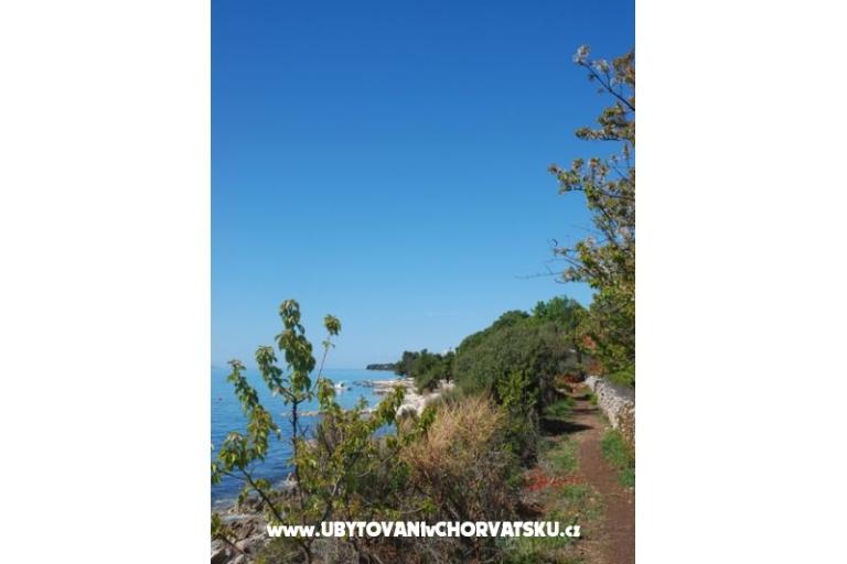 Vila Emila – foto 10