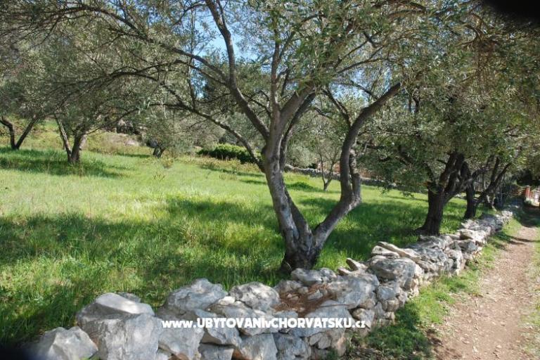 Vila Emila – foto 11