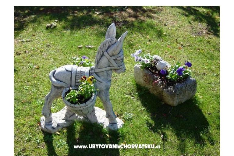 Apartmány Anka Šinkić – foto 16