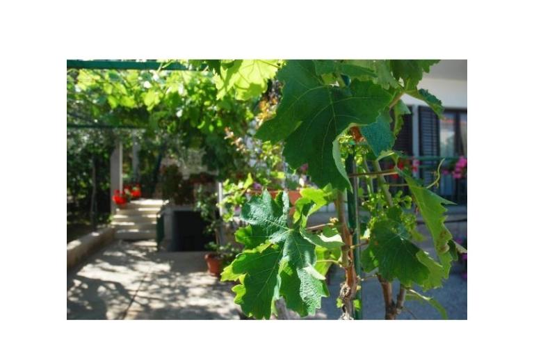 Apartmány Danica – foto 3