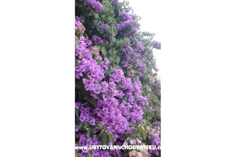 Apartmány Danica – foto 4