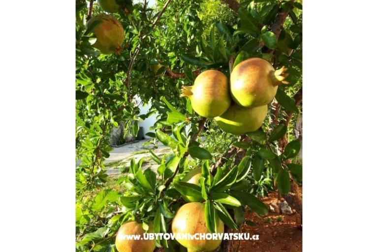 Villa Stefa Pirovac  – foto 14