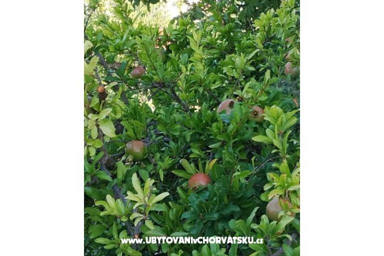 Villa Stefa Pirovac  – foto 21