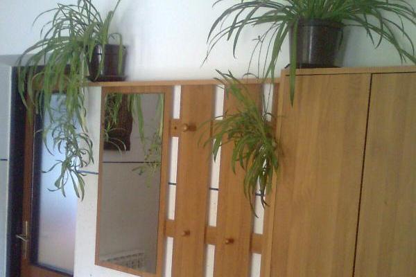 Apartmán Patar – foto 7