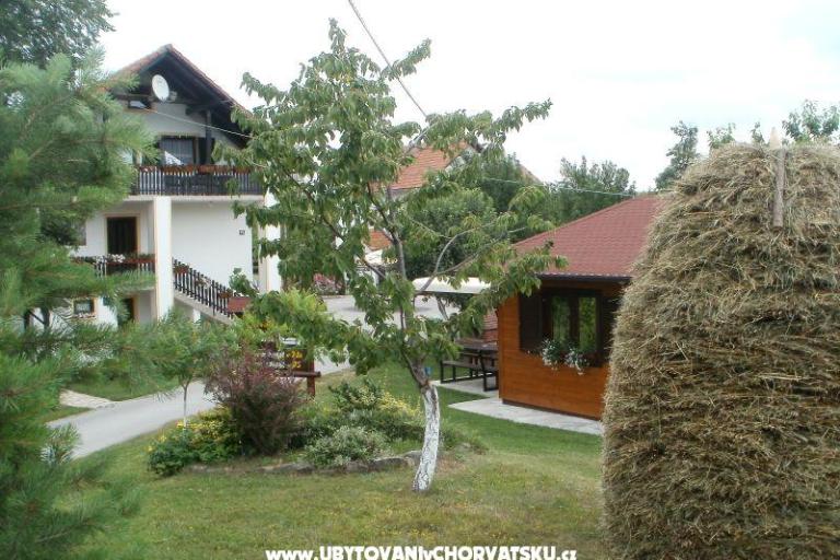 Dům Pavlic – foto 10
