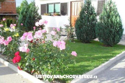 Dům Osana – foto 11