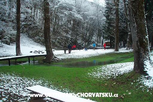 Dům Osana – foto 17