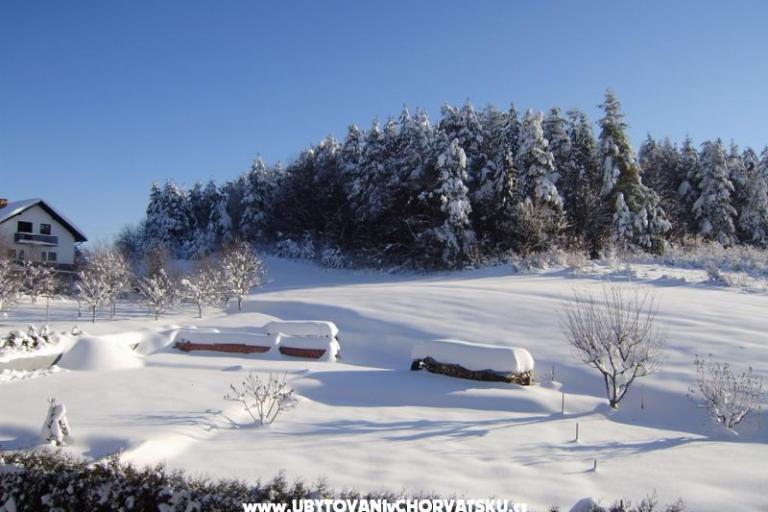 Dům Osana – foto 8