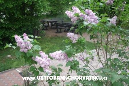 Pokoje Veronika – foto 13
