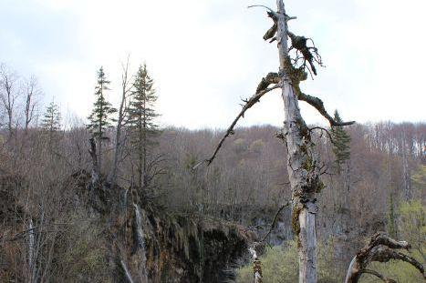 Apartmány Marija – foto 6