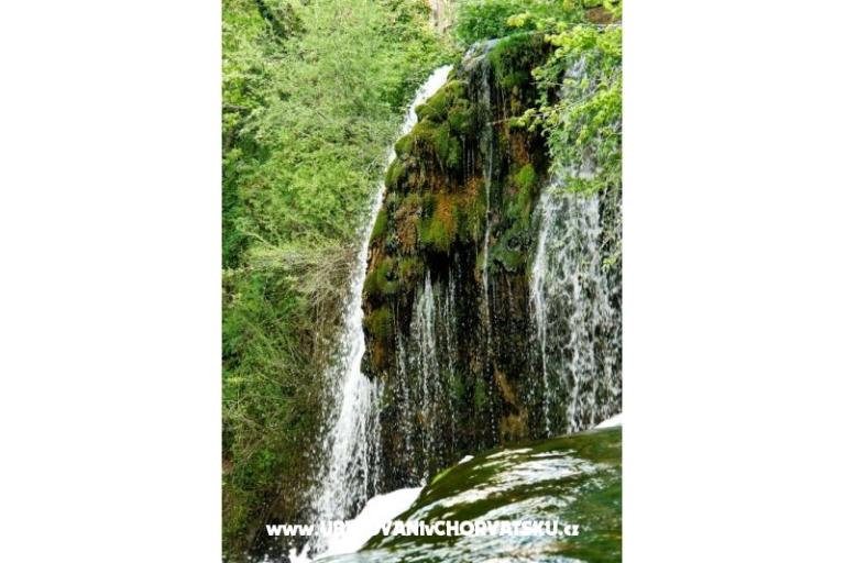Pokoje Roza – foto 10