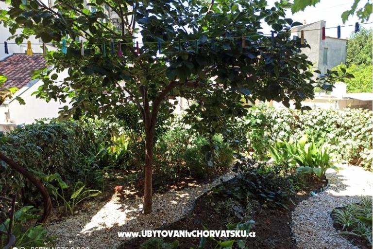 Apartmány Flora – foto 2