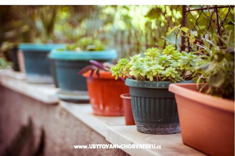 Apartmány Villa  Jasminka – foto 12