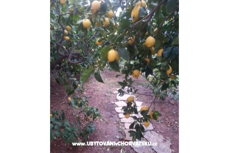 Apartmány Mila – foto 13