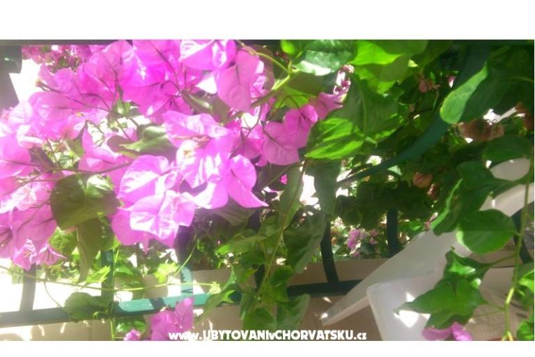 Apartmány Antonela – foto 2