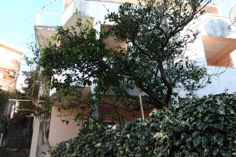 Olga apartmani – foto 3