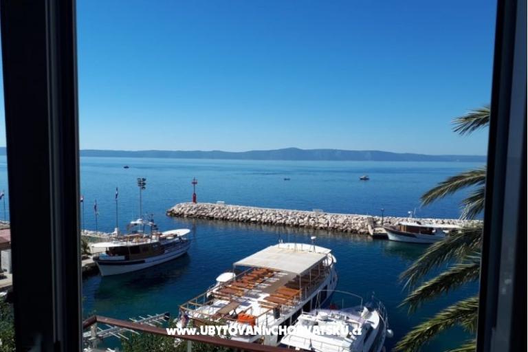 Palm tree apartman – foto 6