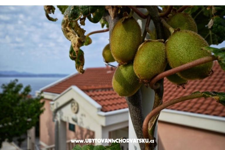 Villa Dado – foto 10