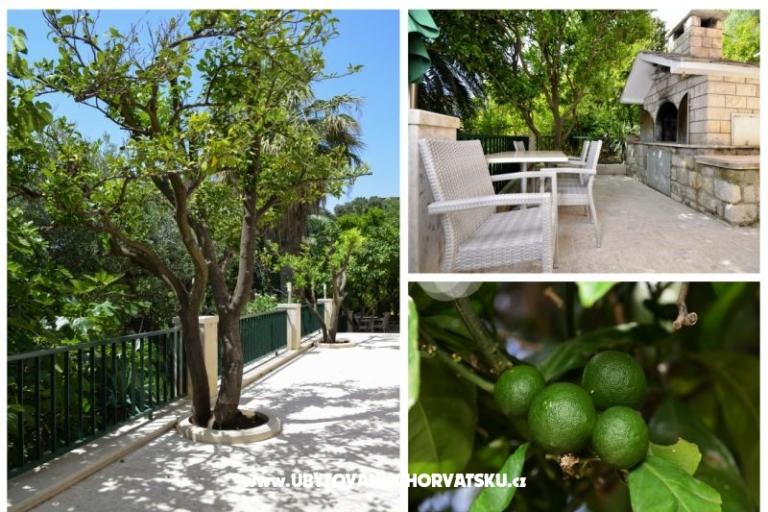 Villa Dado – foto 7