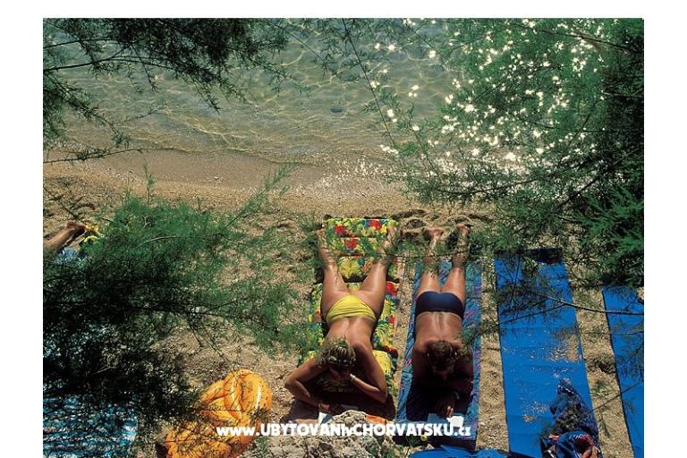 Villa Dobrila – foto 16