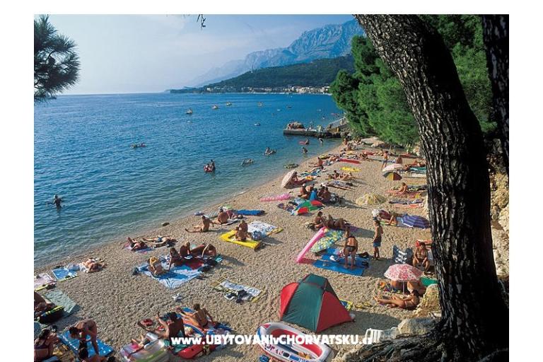 Villa Dobrila – foto 17