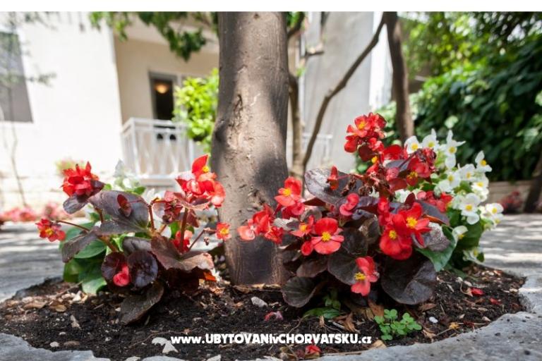 Villa Lidija – foto 15