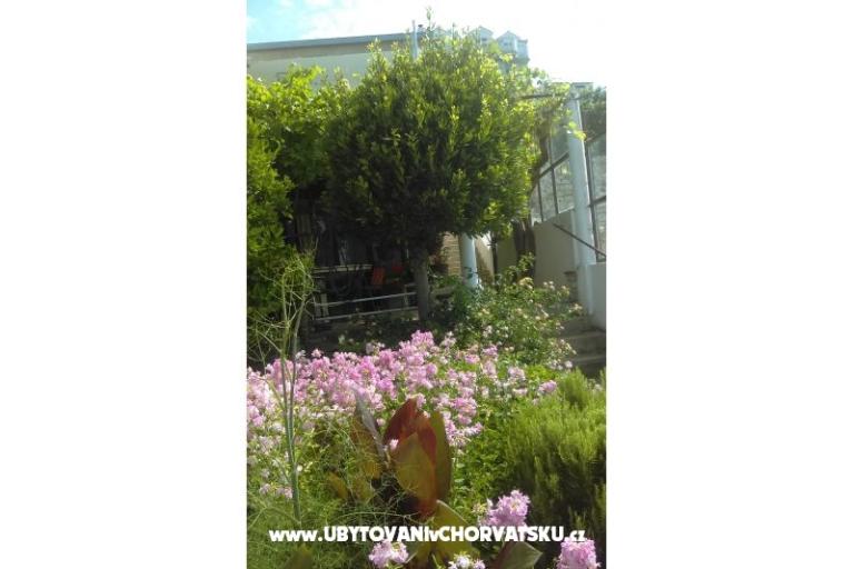 Apartmán Adria – foto 10