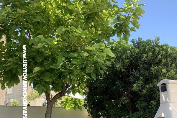 Apartmány Botuš – foto 9