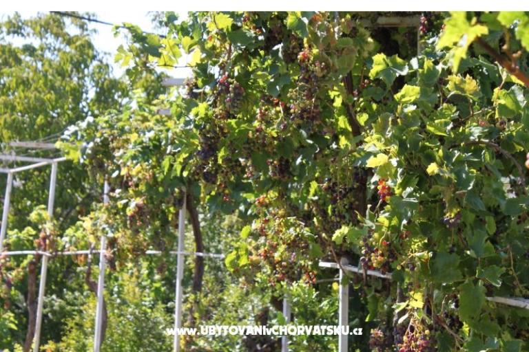 Apartmány Jasna – foto 17