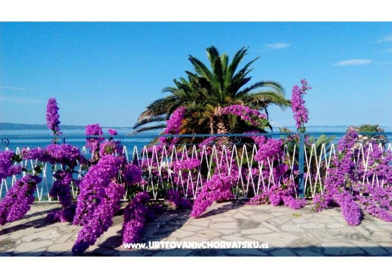 Apartmány Juradin – foto 10