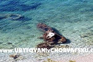 Apartmány Marija – foto 8